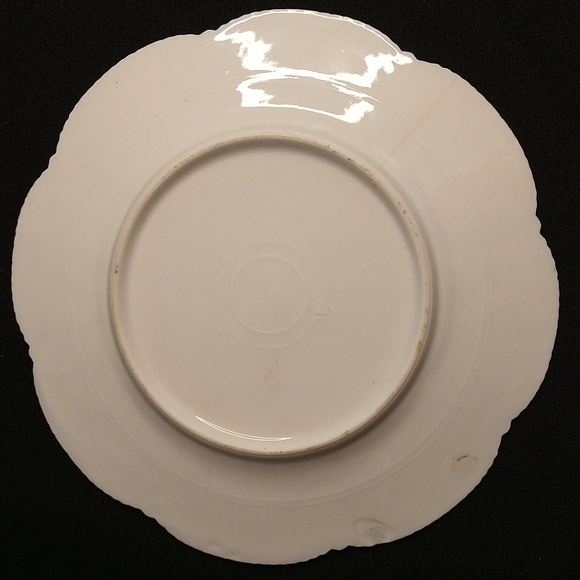 Old china plates Flora print - Picture 6 of 9